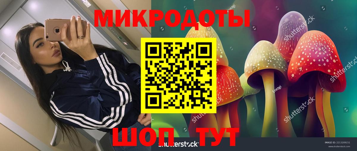 Галлюциногенные грибы Psilocybine cubensis  Вход с VPN  Братск 