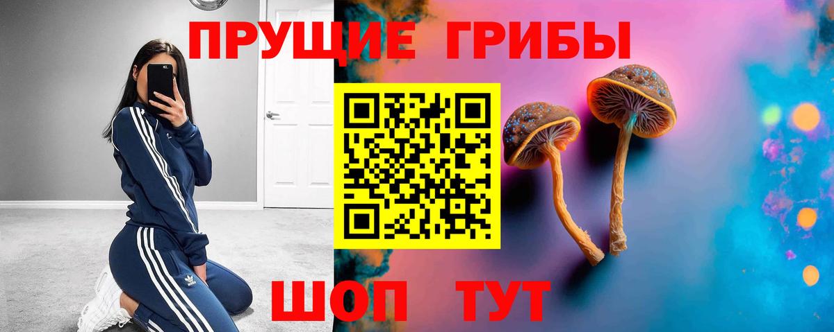 Галлюциногенные грибы ЛСД Братск